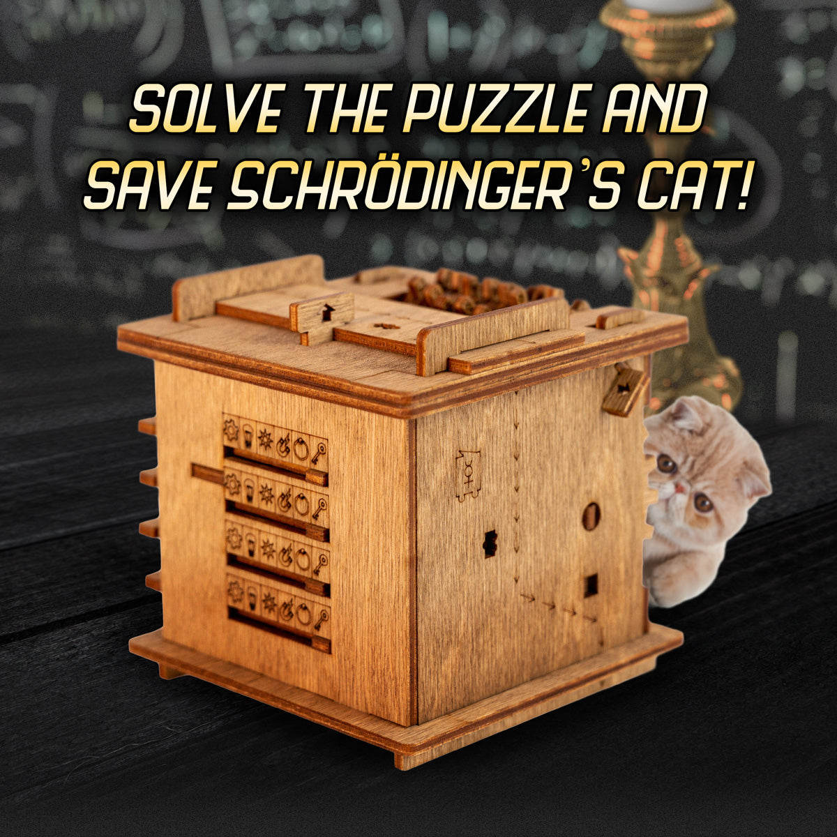 iDVenture Cluebox Schrödingers Katze (Escape Game in einer Box) in Nordrhein-Westfalen